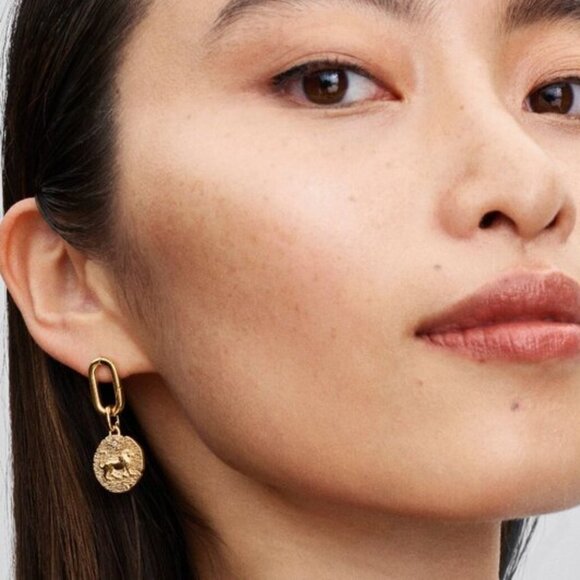 Pandora Lion Medallion Charm - Picture 5 of 6